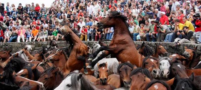 La tradicional Rapa das Bestas prevé recibir este año unos 20.000 visitantes