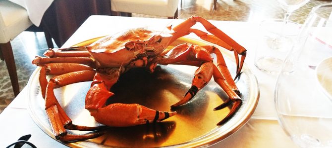 Nadie puede marchar de Galicia sin probar el Cangrejo Real